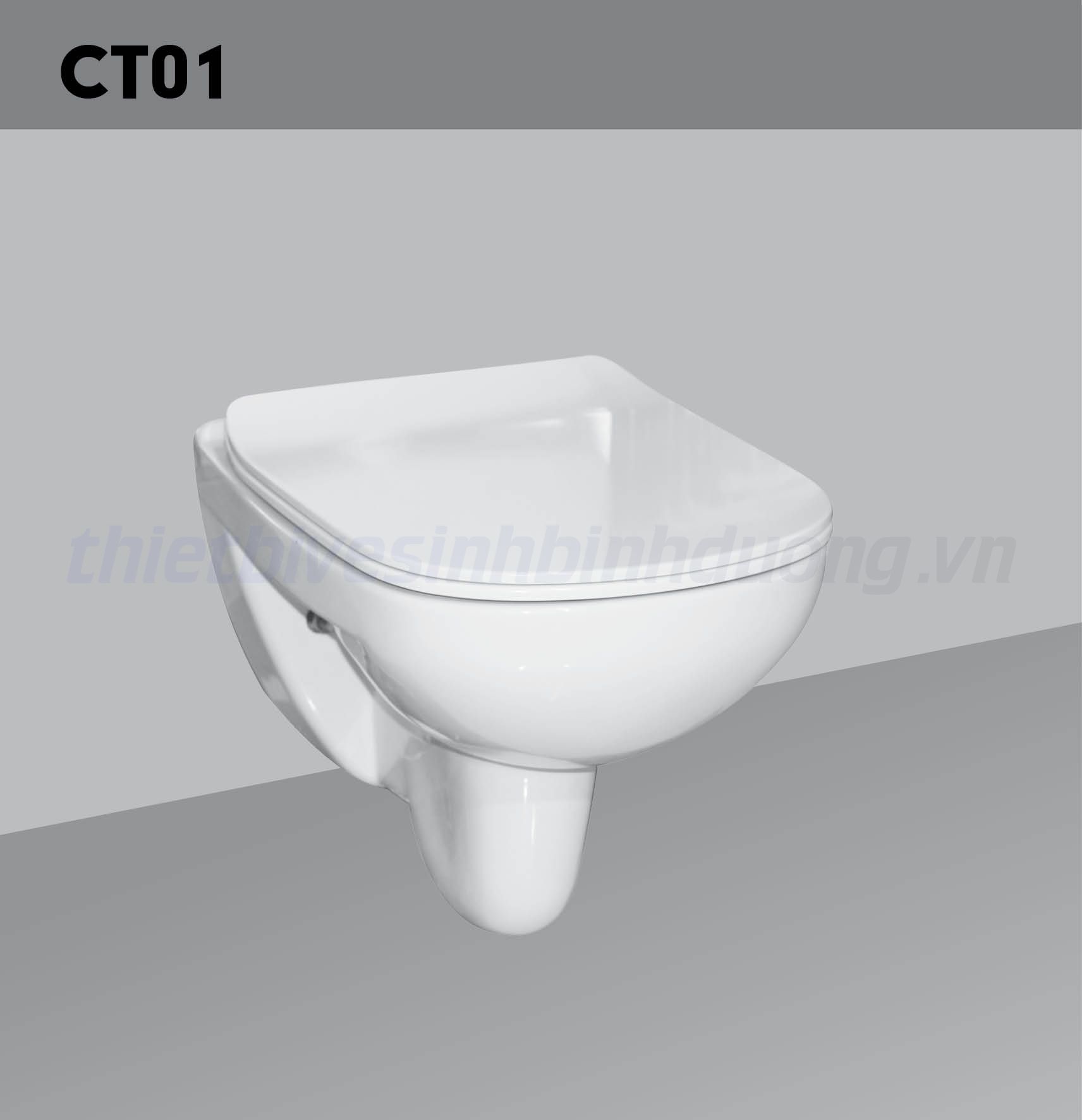 Bồn cầu sứ Hảo Cảnh HC CT01